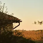 Il Giardino Sotto Le Stelle Fungaia