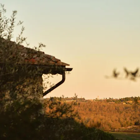 Il Giardino Sotto Le Stelle Fungaia