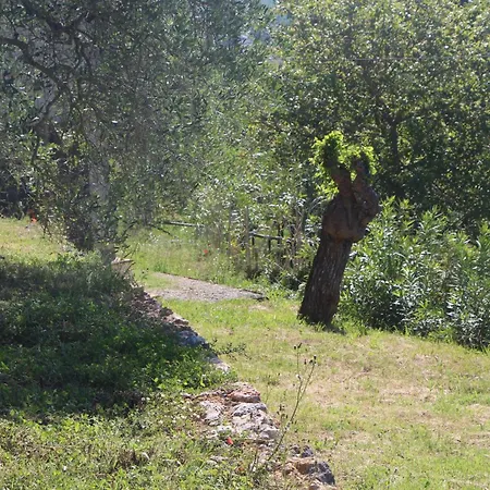 Villa Il Giardino Sotto Le Stelle *