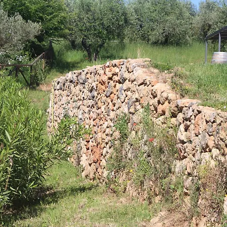 Il Giardino Sotto Le Stelle Villa *