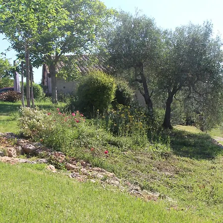 Villa Il Giardino Sotto Le Stelle *